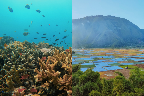 20250430_153043_0000