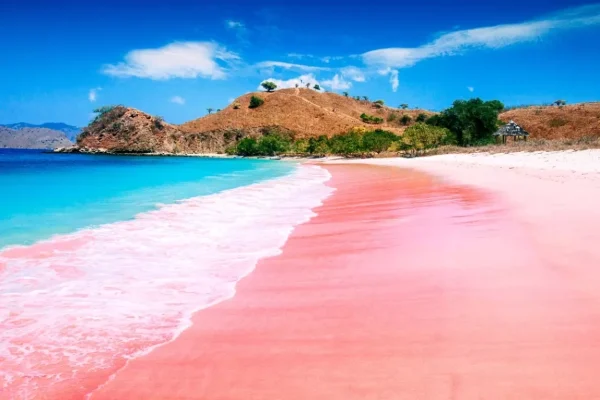 Pantai Pink